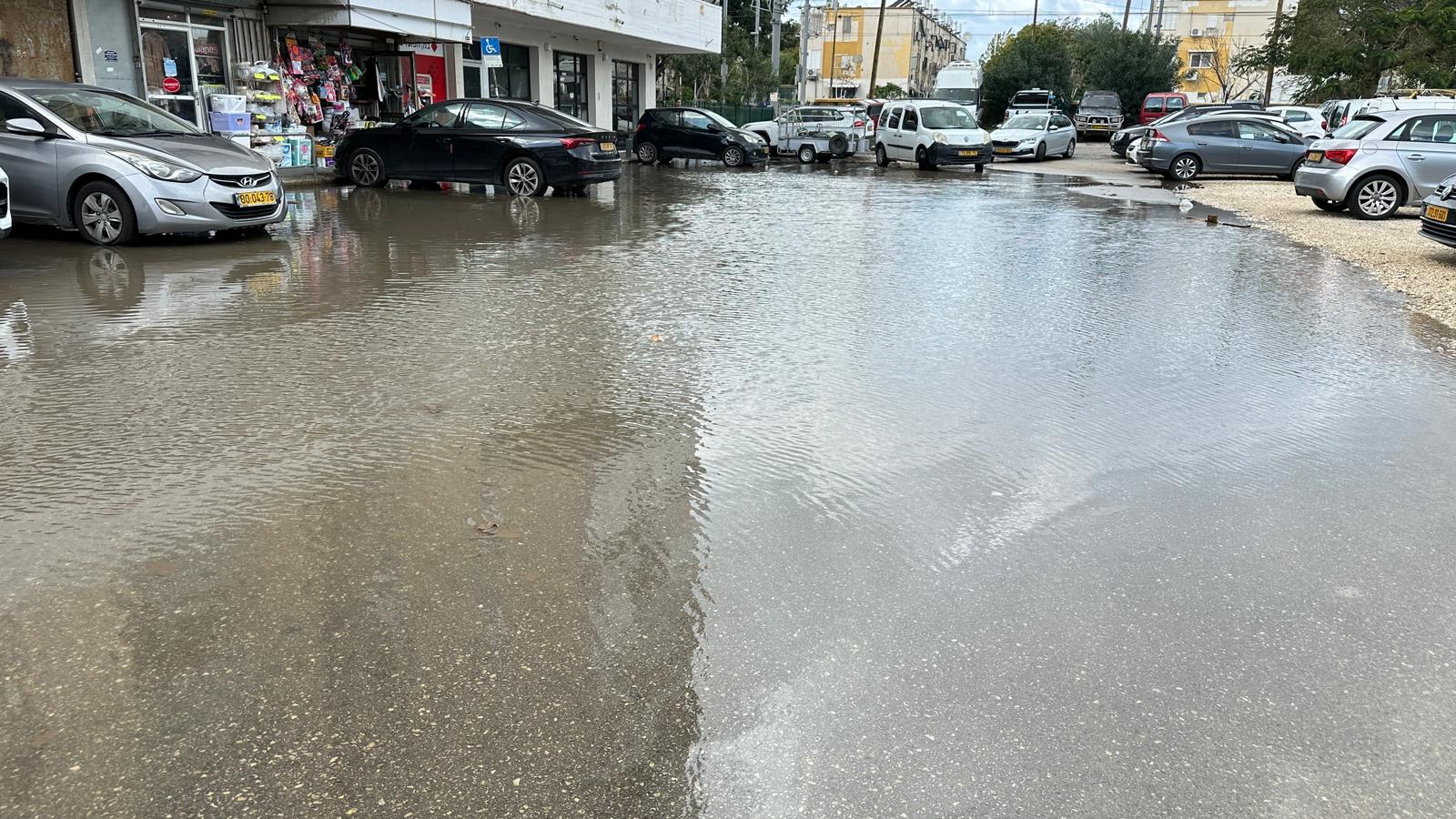 WhatsApp Image 2024-01-30 at 19.11.07.jpeg